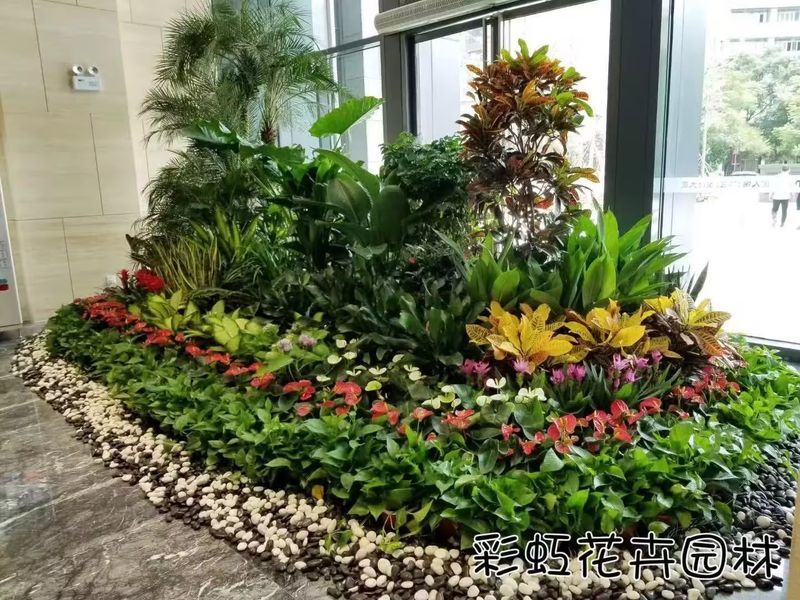 案例展示