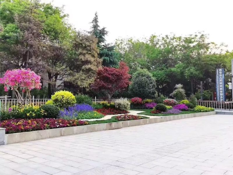 案例展示