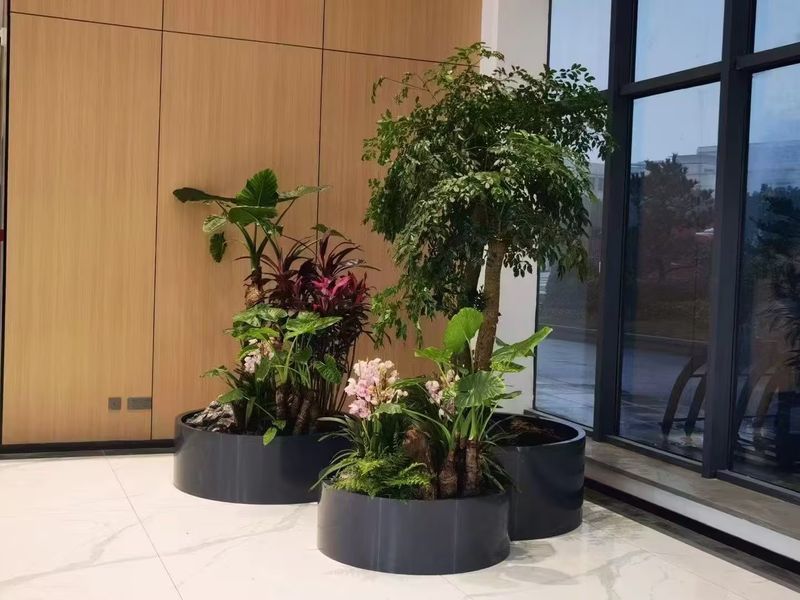案例展示