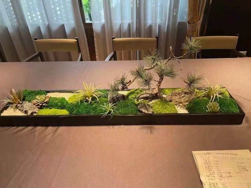 案例展示