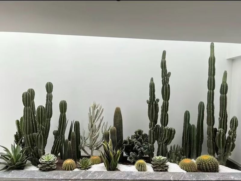 案例展示