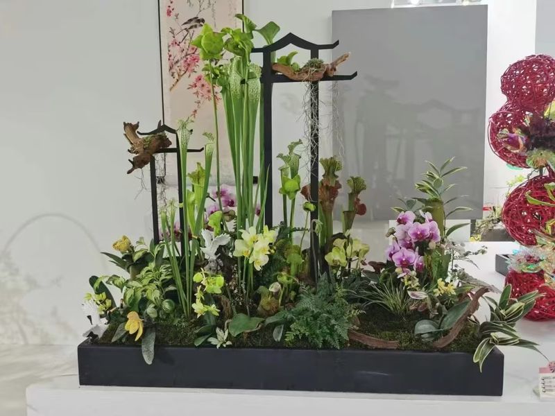 案例展示