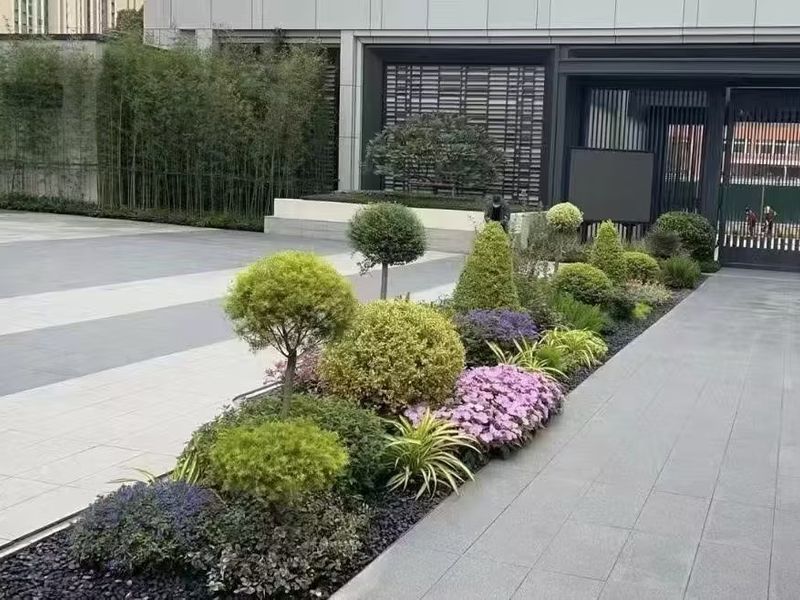 案例展示