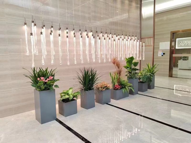 案例展示