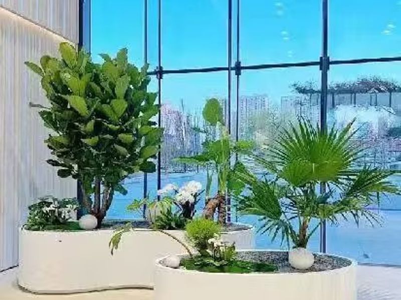 案例展示