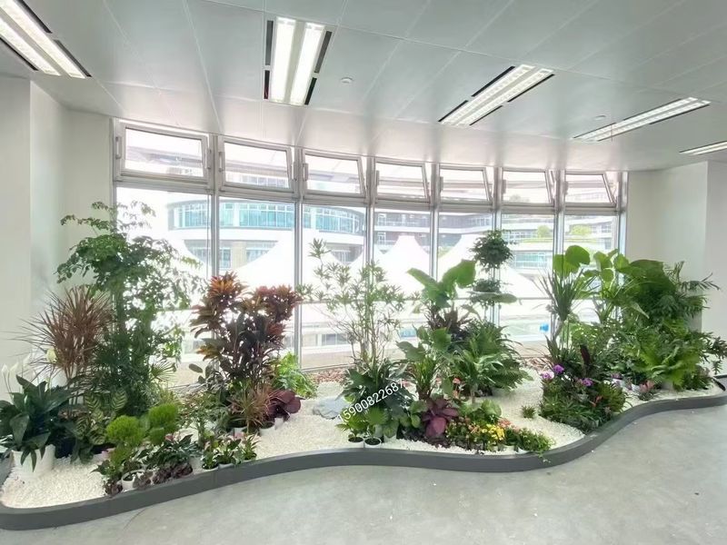 案例展示