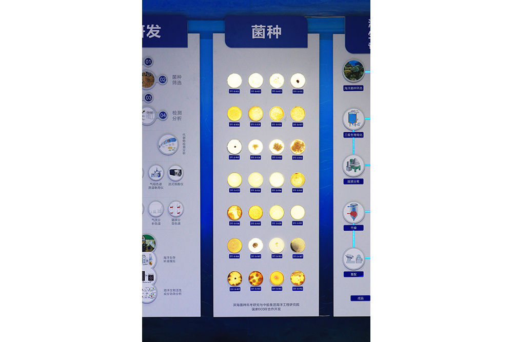 图片名称 图片名称