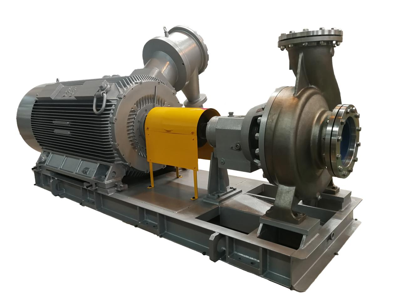 CH/CHB Standard Chemical Pump