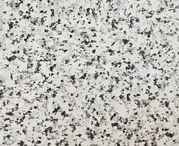 DLS-002- Black and White Dot Marble