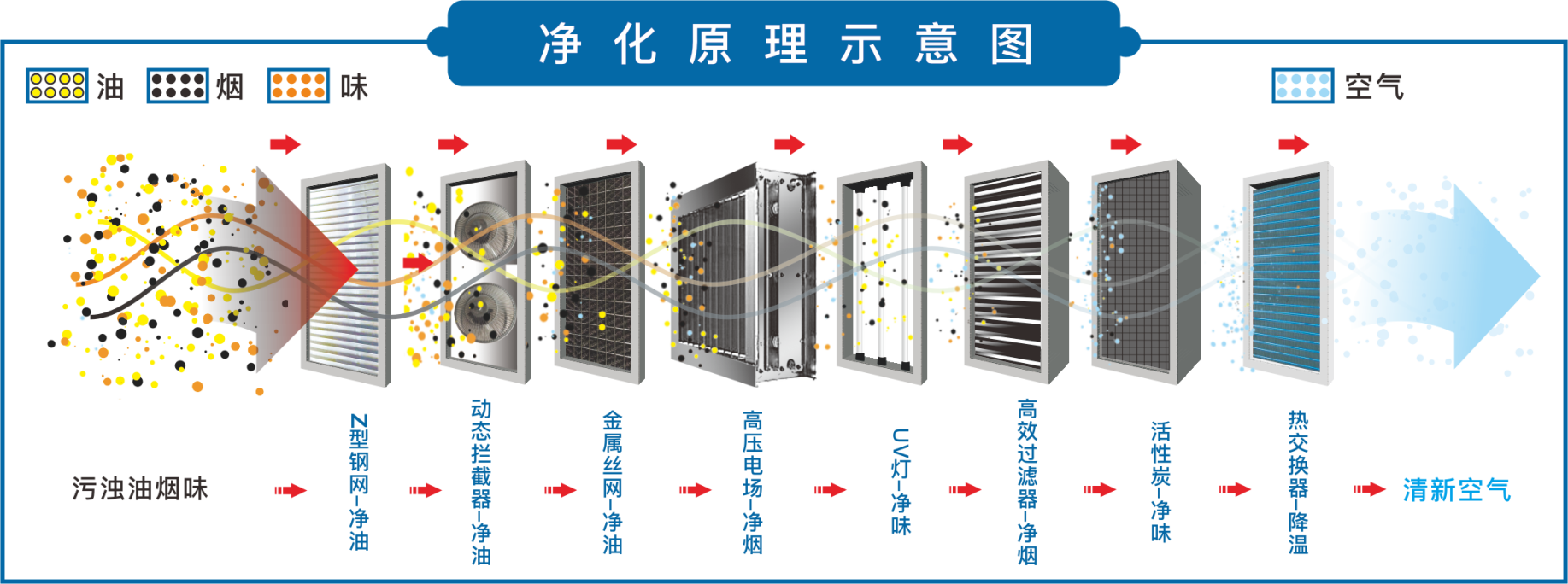 蓝月亮资料大全