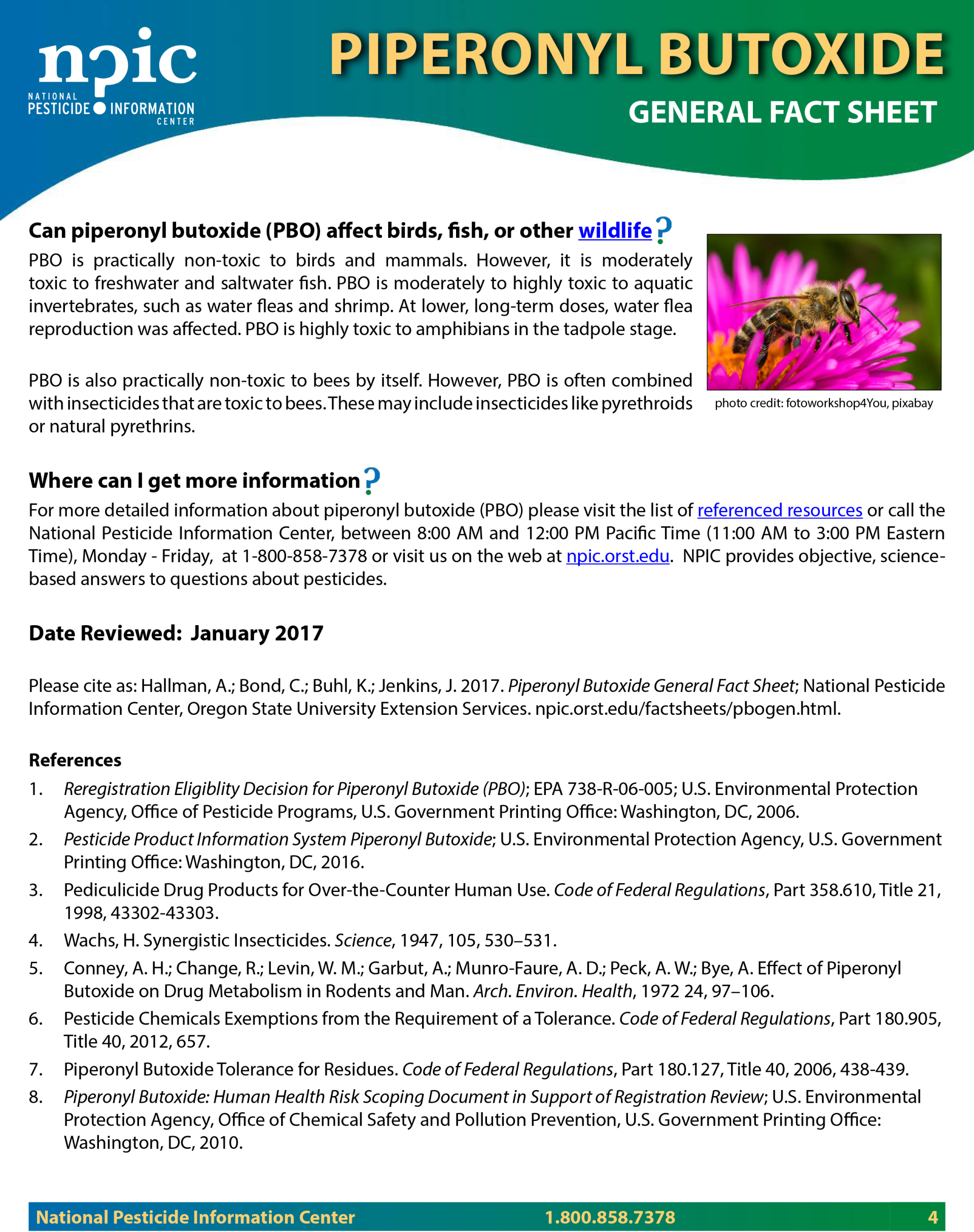 PIPERONYL BUTOXIDE