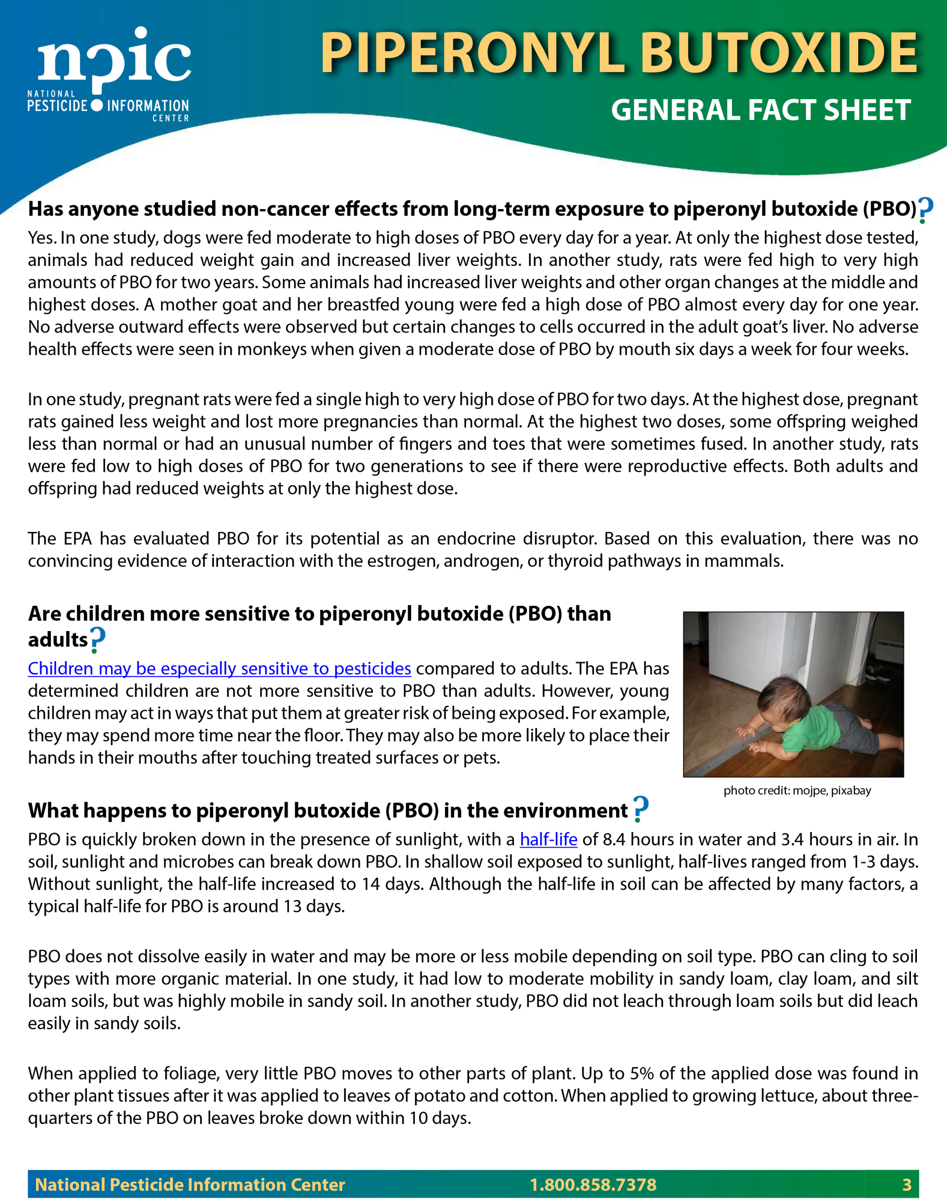 PIPERONYL BUTOXIDE