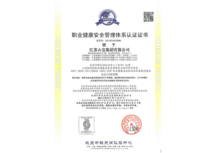 职业健康体系认证（中文）