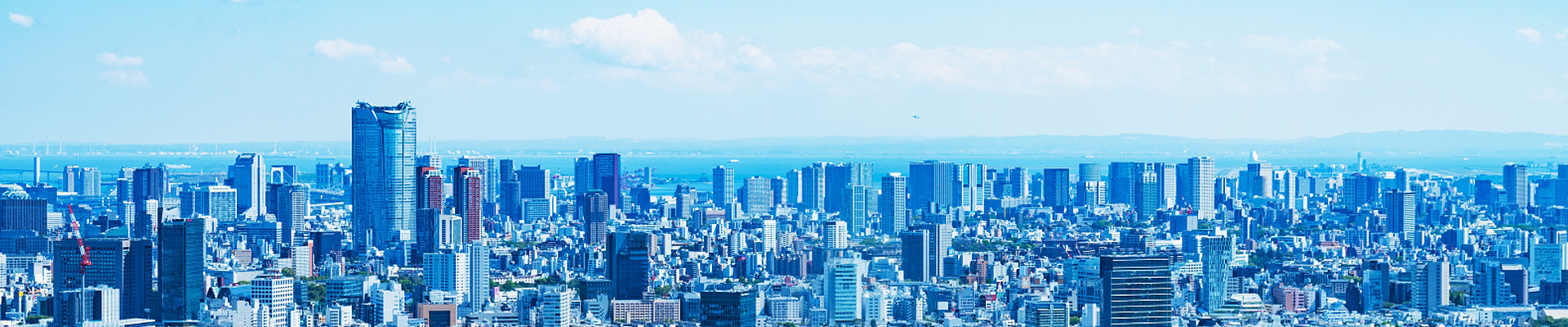 業(yè)務布局