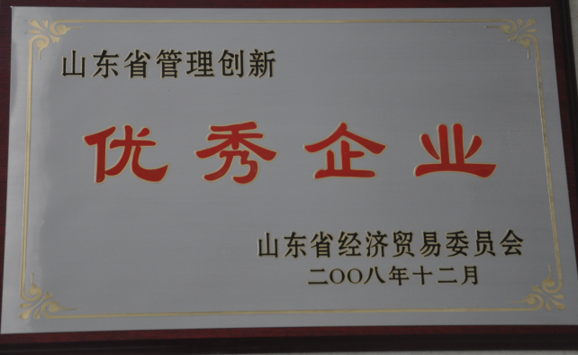 2008年12月山東省管理創新優秀企業