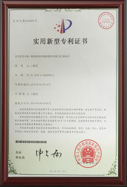 ZL01