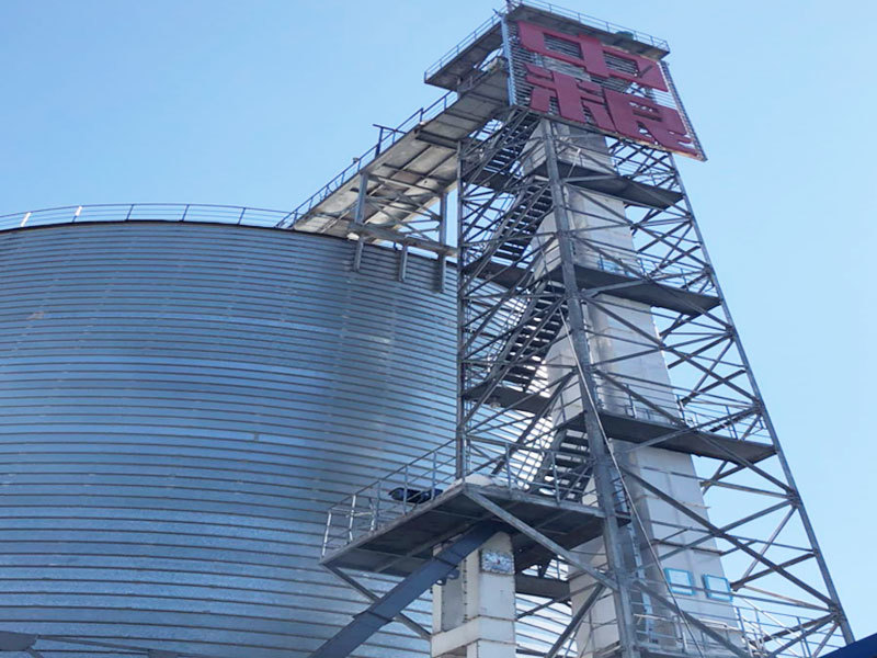 帶式輸送機-中糧-中紡糧油福建有限公司原料輸送、豆粕輸送項目