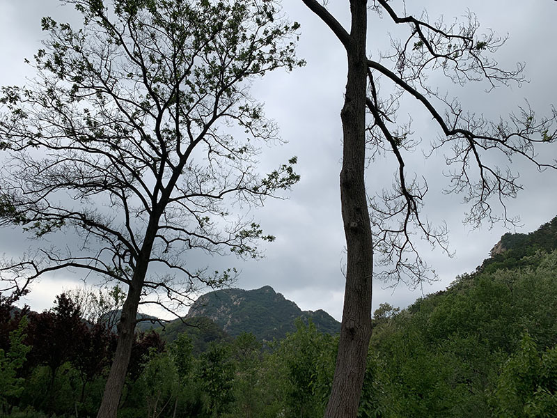 佛祖山
