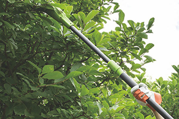 What are the tools for pruning trees?