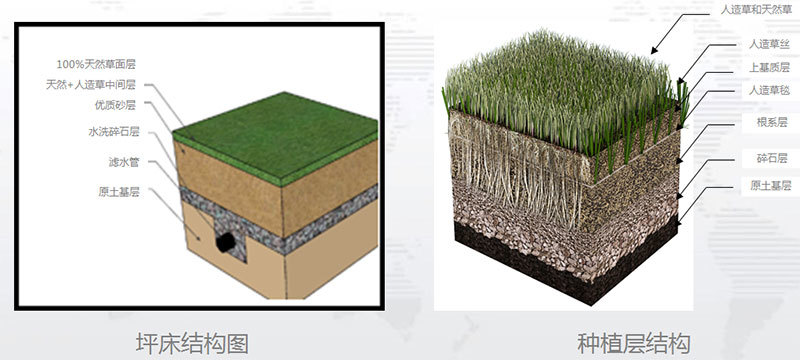 HREO混合草