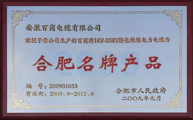 合肥名牌产品