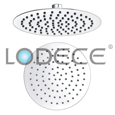 Stainless steel Shower Head