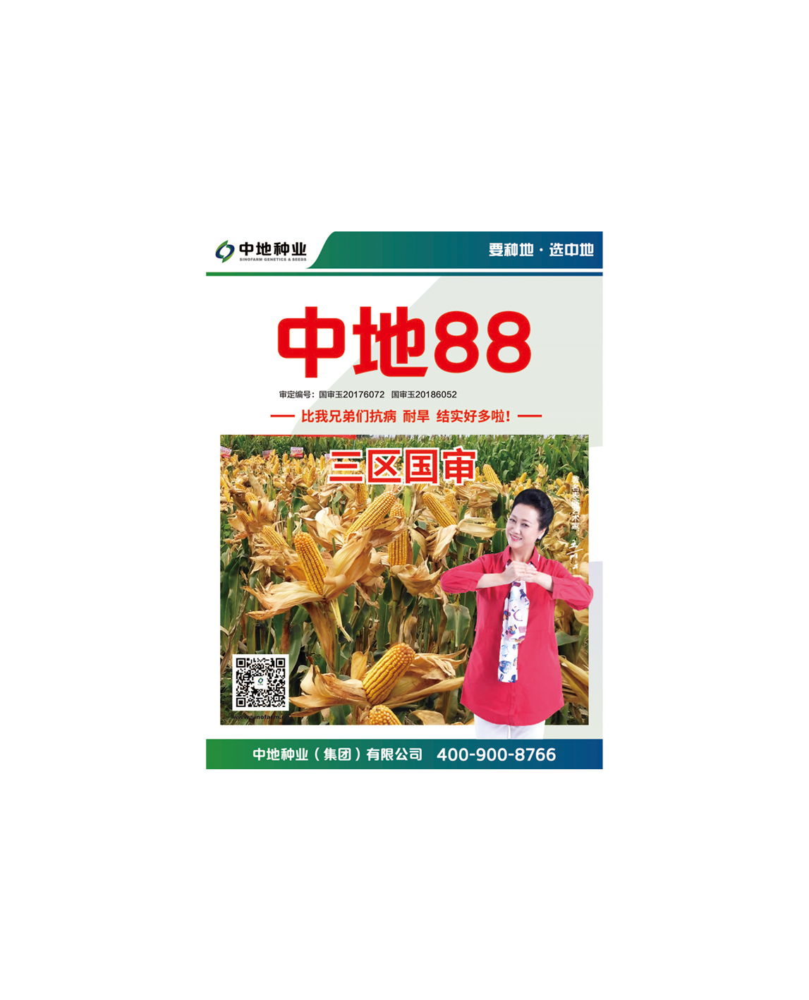 中地88