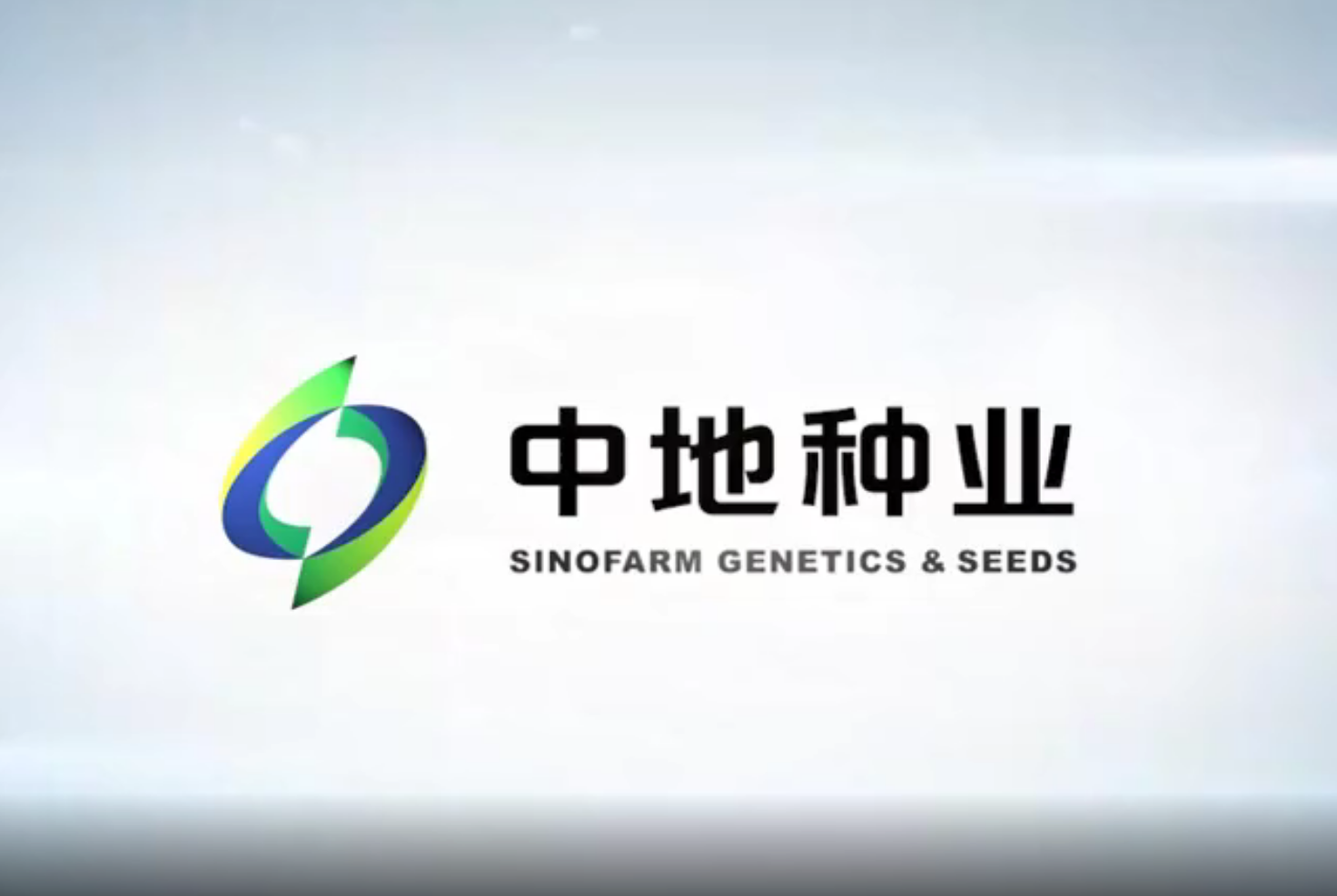 公司宣傳視頻