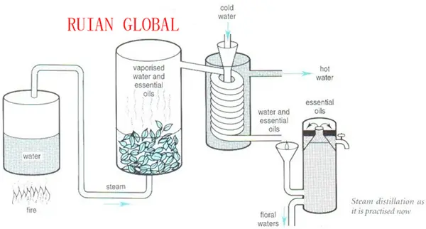 Lavender oil distiller
