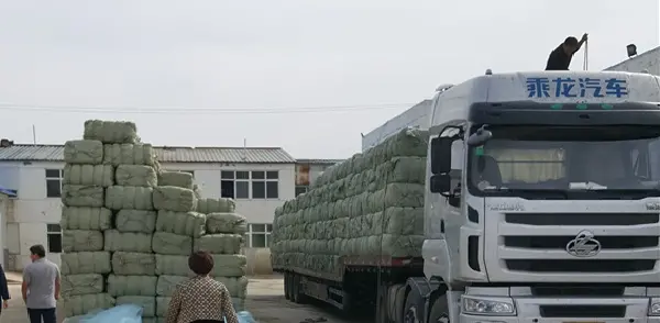 Stevia project