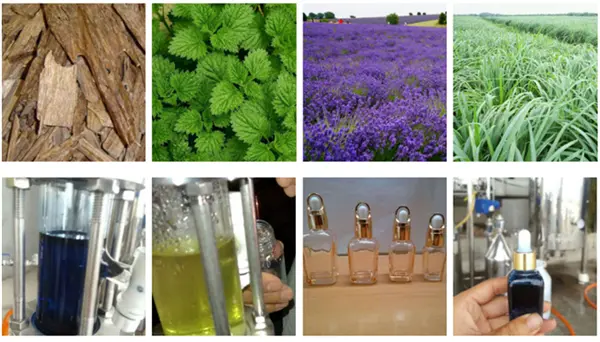 Rose oil distiller