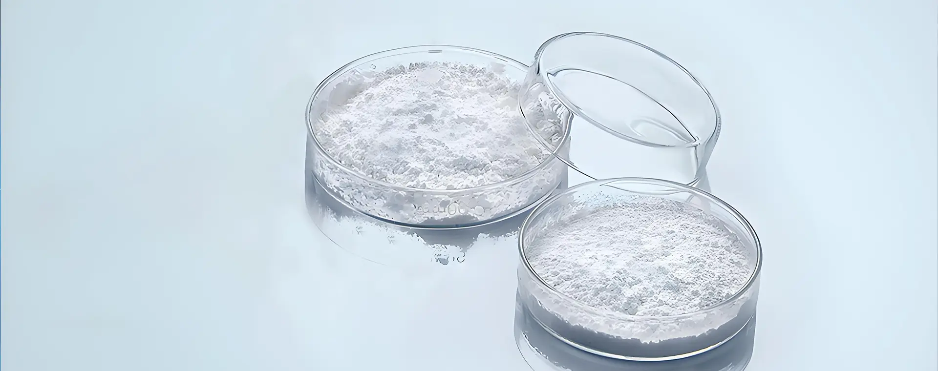 Focus on fine chemicals development