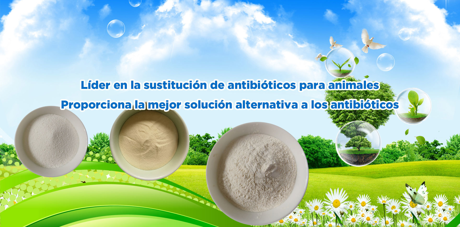 Provide antibiotics replacer solution for animal