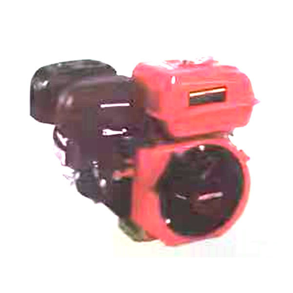 C-Type