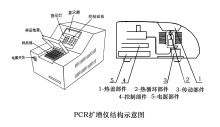 圖片名稱