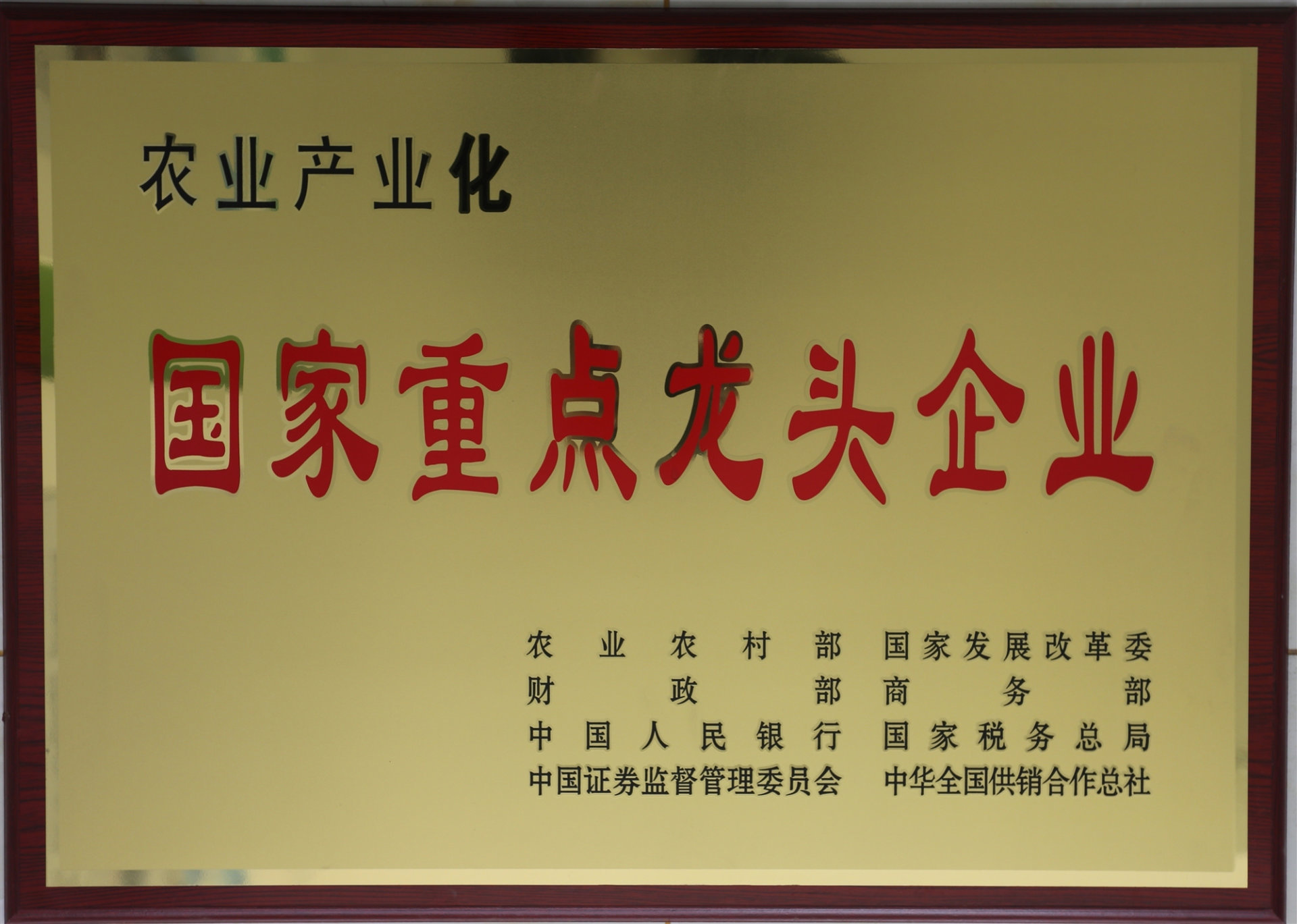 国家级农业产业化龙头企业