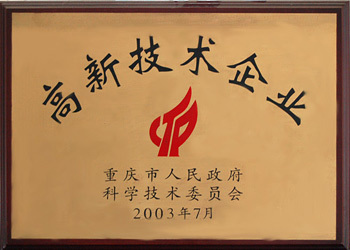 高新技術(shù)企業(yè)