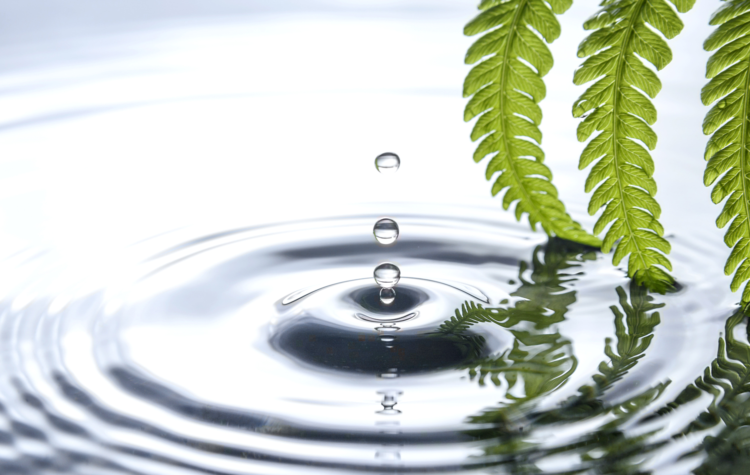 Health And Environmental Protection Health And Environmental Protection