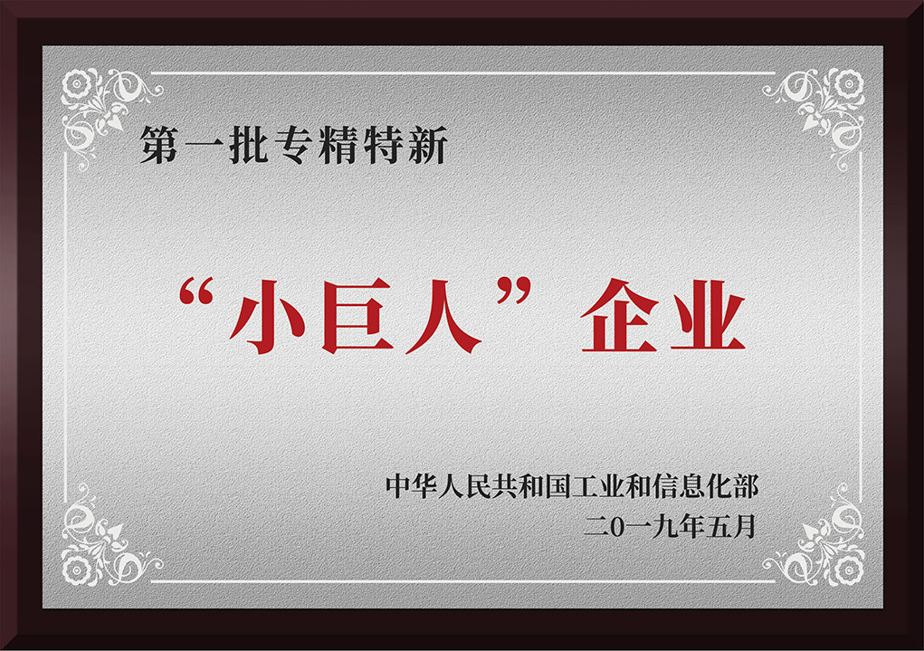 云南省民营小巨人企业 云南省民营小巨人企业