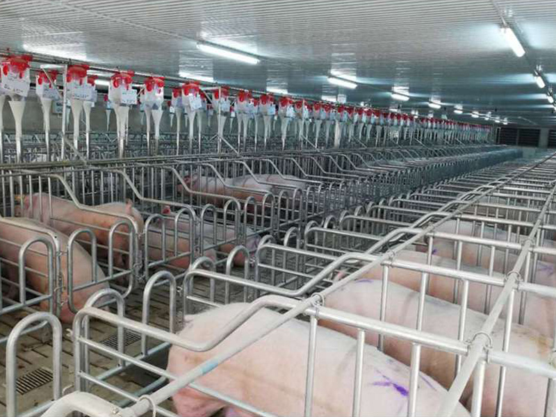 Breeding equipment