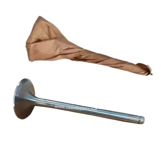 Intake Valve