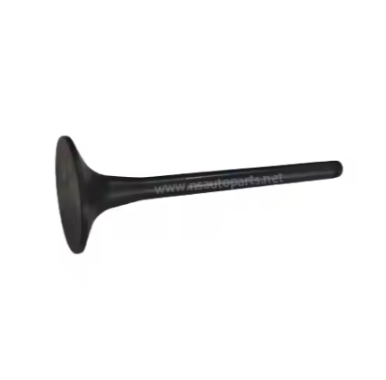 Exhaust Valve
