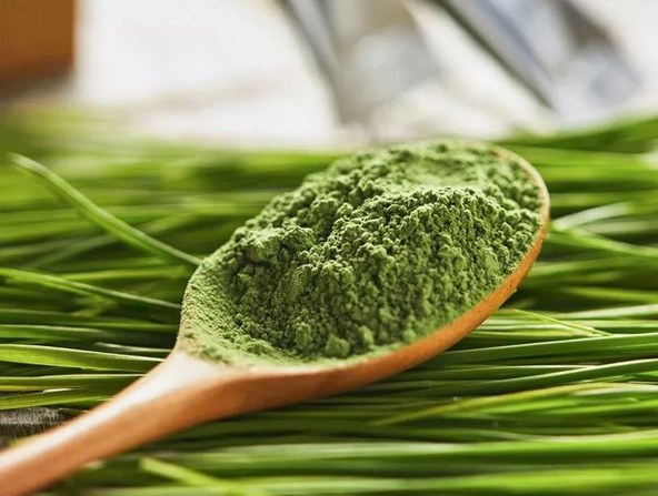 Organic barley grass powder