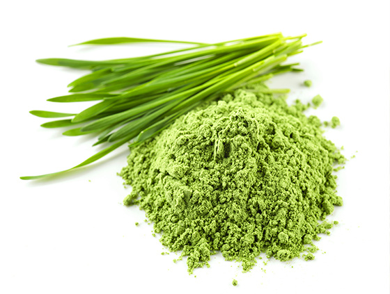 Organic wheat grass powder