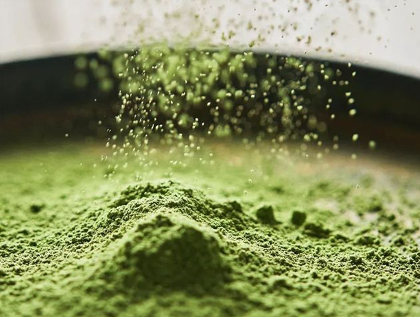 young organic barley grass powder