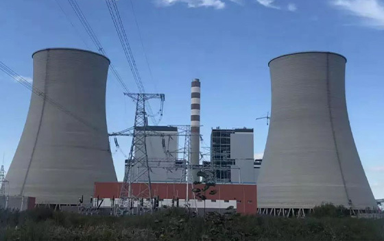 Baoqing Power Plant 1000KW-2 sets