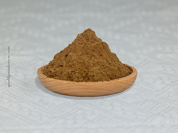 Pet’s Mushroom extract blend