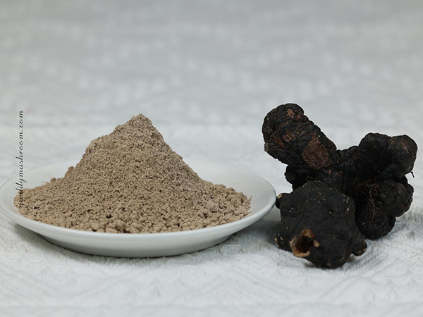 Zhuling mushroom powder (Zhuling mushroom extract powder 1:1)