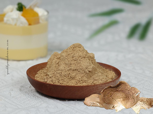 Oyster mushroom powder (Oyster mushroom extract powder 1:1)
