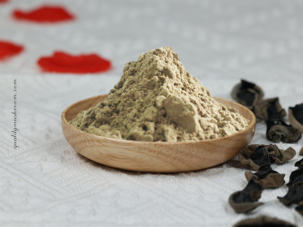 Black fungus extract 8:1